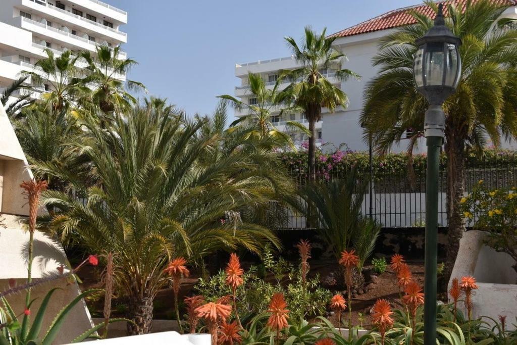 Apartamento Las Veronicas Arona  Esterno foto